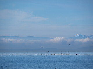 view by the coast with cloud surround island on the background over the horizon