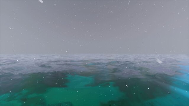 Snowstorm