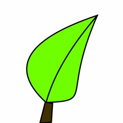 green leaf on a white background