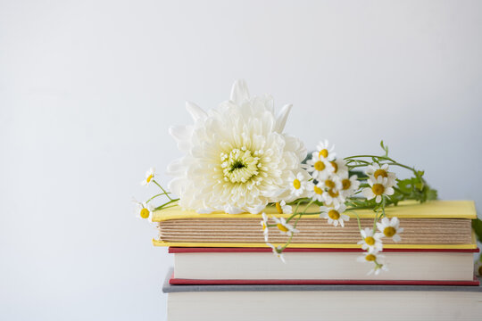 Wildflowers and books