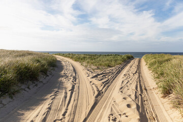 Dune Landscape Fork in the road 