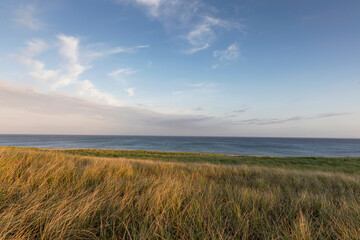 Cape Cod Beach Dune Landscape with calm ocean 