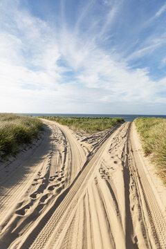 Fork in the road at beach landscape Cape Cod 