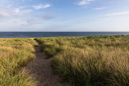 Fototapeta Cape Cod Beach Dune Landscape in fall 