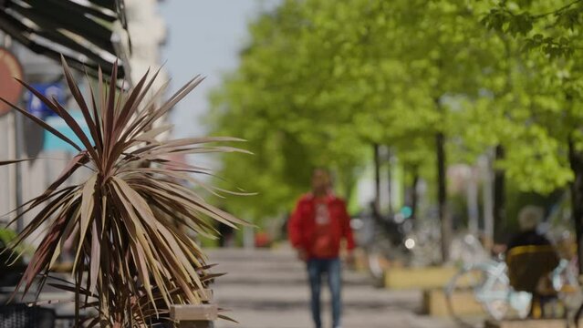 Man walking along sidewalk on sunny day at Norrkoping city, Sweden. Tilt-up