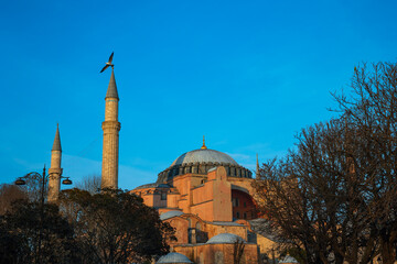 Fototapeta na wymiar Ayasofya or Hagia Sophia at sunset. Mosques of Istanbul background photo