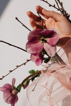 Pink flowers in delicate sleeve