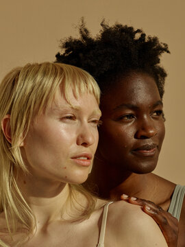 Diverse female couple beauty portrait