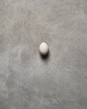 Lonely egg