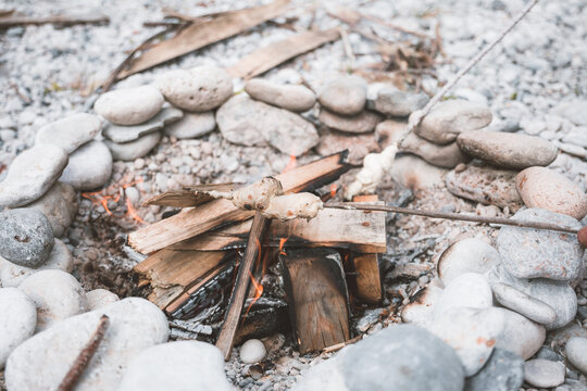 stick bread above campfire