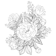 Bouquet of wild flowers. Composition from botanical elements. Flowers and leaves in line art style. Flower coloring page.