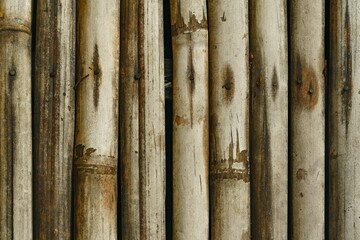 bamboo fence background