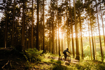 Mountainbiking in the forest