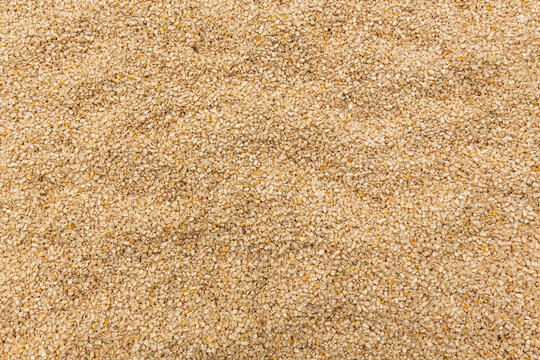 textures of white kernels