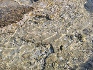 The coast of the Mediterranean Sea, clear water with reflections of the sun's rays, through which you can see the stone bottom. Background.