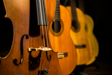 Fototapeta premium violín