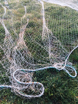 Fishing Net Premium Images – Browse 3,729 Stock Photos, Vectors, and Video