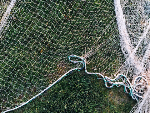 Fishing net