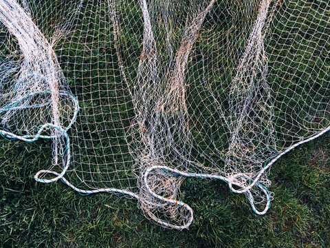 Fishing net