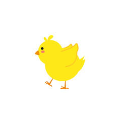 small baby bird emergence from egg, cracked shell in laying hens nest,Chicken hatching stages. Newborn little cute chick,Easter chicks concept.