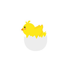 small baby bird emergence from egg, cracked shell in laying hens nest,Chicken hatching stages. Newborn little cute chick,Easter chicks concept.