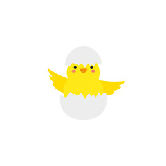small baby bird emergence from egg, cracked shell in laying hens nest,Chicken hatching stages. Newborn little cute chick,Easter chicks concept.
