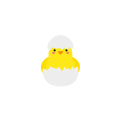 small baby bird emergence from egg, cracked shell in laying hens nest,Chicken hatching stages. Newborn little cute chick,Easter chicks concept.