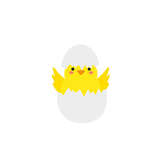 small baby bird emergence from egg, cracked shell in laying hens nest,Chicken hatching stages. Newborn little cute chick,Easter chicks concept.