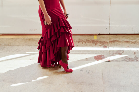Flamenco dancer wearing a traje de flamenca
