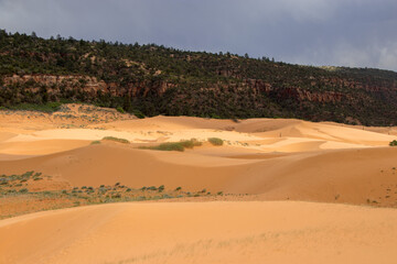 Coral Pink Sand Dunes, Utah