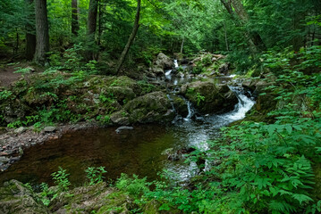 544-80 Overlooked Falls, PMWSP