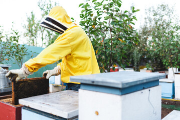 Professional beekeeper working outdoors and wearing the protective suits used for beekeeping. Beekeeper harvesting honey from a bee hive.