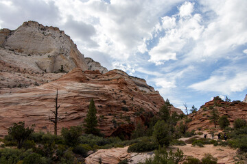 Fototapeta premium Seeing Zion