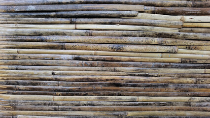 close up of bamboo texture for background                              