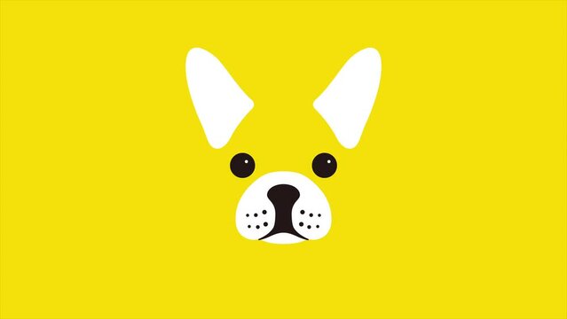 French Bulldog Vector Footage Full Hd Resolution HD Animal Motion Graphic