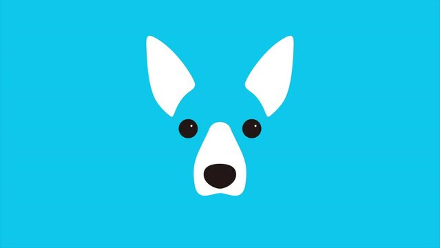 Dog Vector Footage Full Hd Resolution HD Animal Motion Graphic