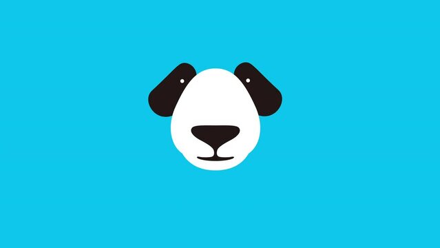 Panda Vector Footage Full Hd Resolution HD Animal Motion Graphic