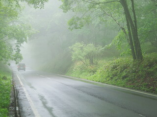 Obraz premium 霧のかかる道を走る車のテールランプ（横）