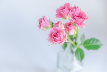 瓶に活けられたピンクのバラ