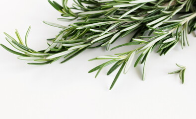 Fototapeta premium green leaves rosemary close up frame on white background top view. Copy space. 