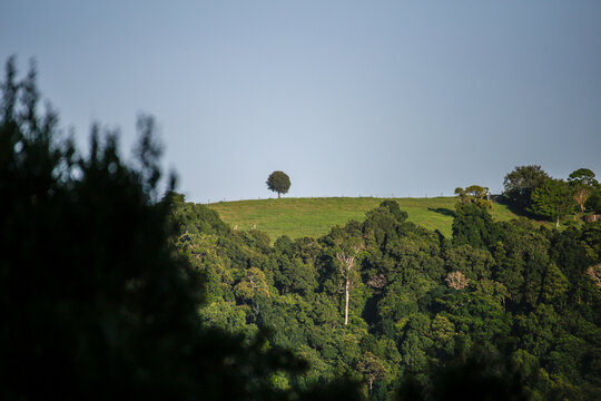 One Tree at Maleny Sunshine Coast With Valley Views