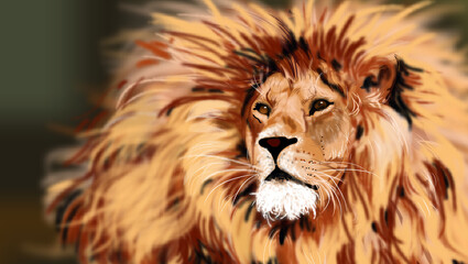 สิงโต lion, animal, cat, wild, mane, wildlife, zoo, king, nature, mammal, feline, carnivore, portrait, predator, leo, head, big, face, fur, safari, roar, dangerous, majestic, big cat
