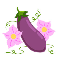 Eggplant. Pink flowers and stem with green tendrils. Flowering of vegetable.