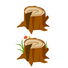 Wood stump, flat vector illustration isolated on white background. Cut tree trunk bottom part. Nature decoration of forest