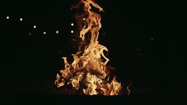 Fire Slow Motion Close up Evening Ashes
Orange Bonfire