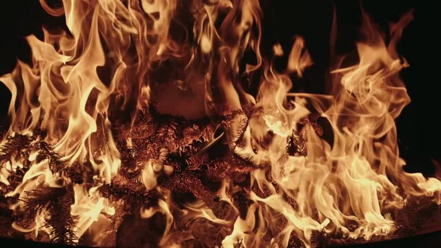 Fire Slow Motion Close up Evening Ashes
Orange Bonfire