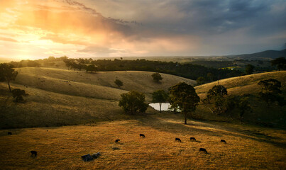 Setting Sun over Farmland in South East Australia