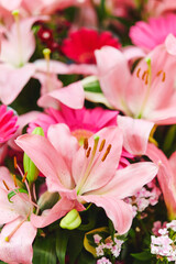 flowers in the garden