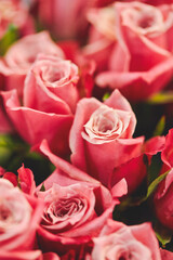bouquet of roses