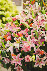 various flowers in the garden